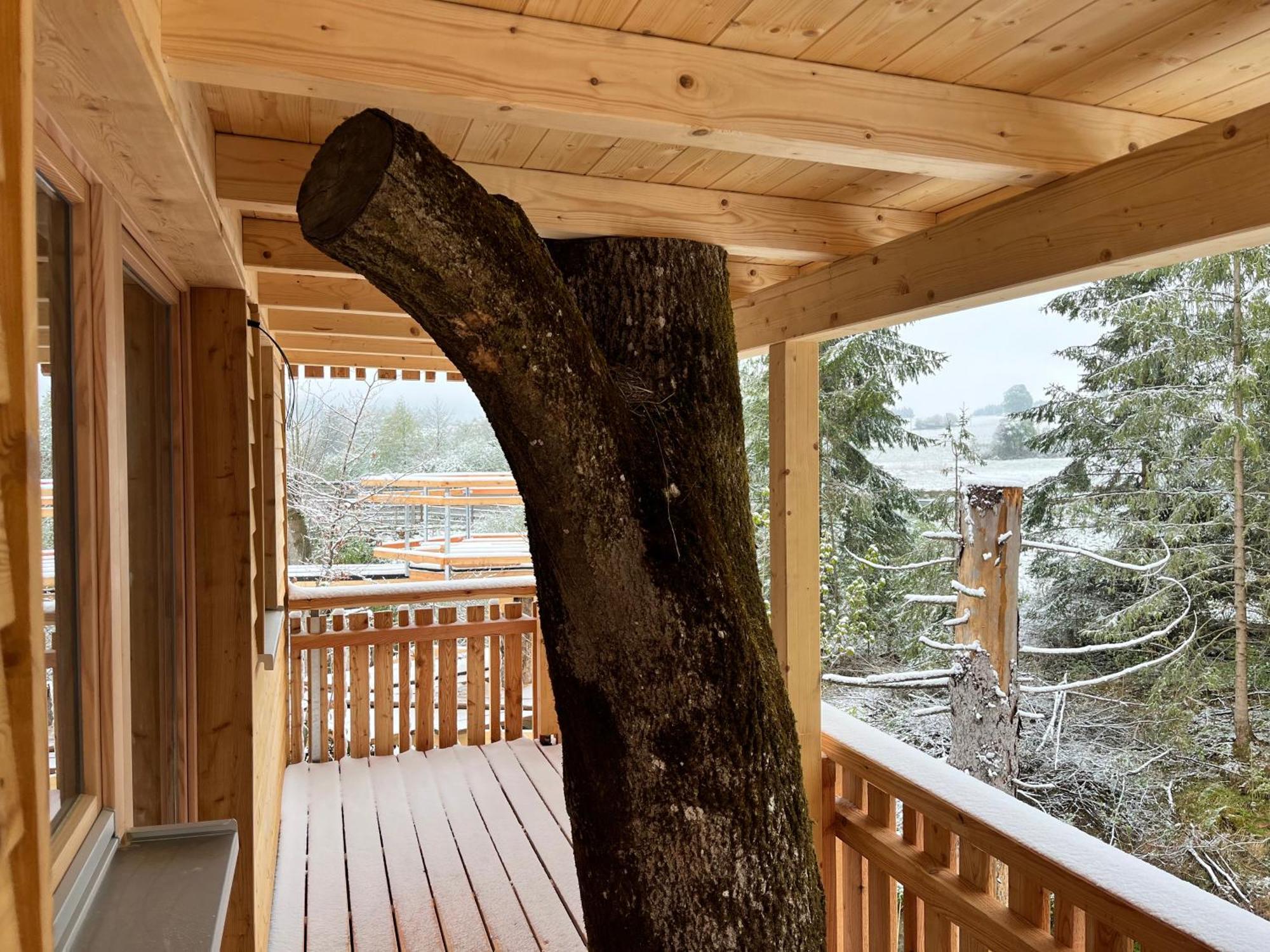Wald Ist Zukunft Hotel Bernbeuren Ngoại thất bức ảnh