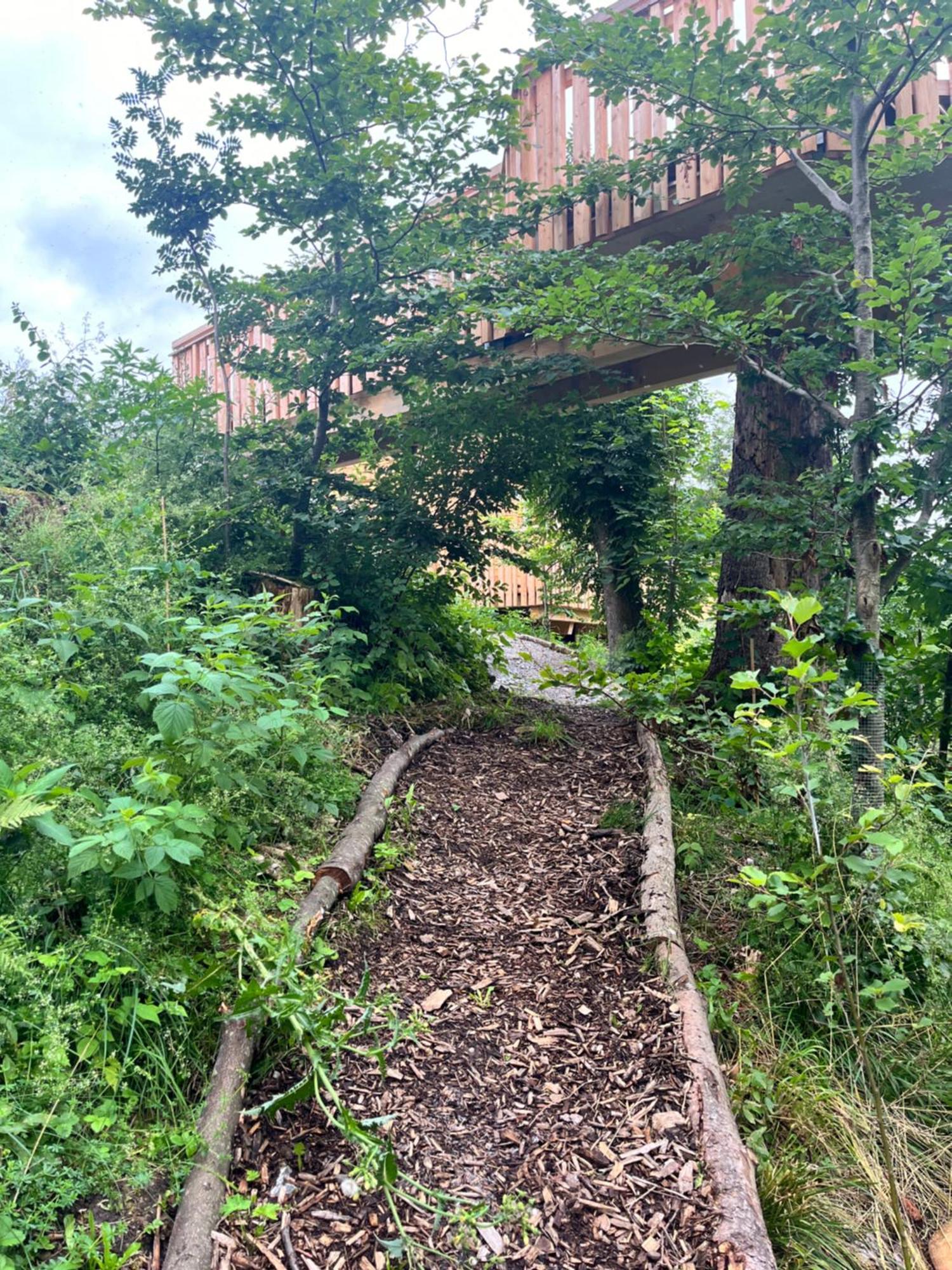 Wald Ist Zukunft Hotel Bernbeuren Ngoại thất bức ảnh