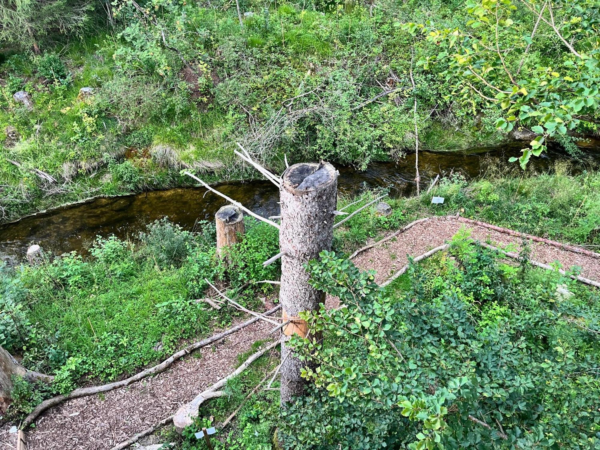 Wald Ist Zukunft Hotel Bernbeuren Ngoại thất bức ảnh