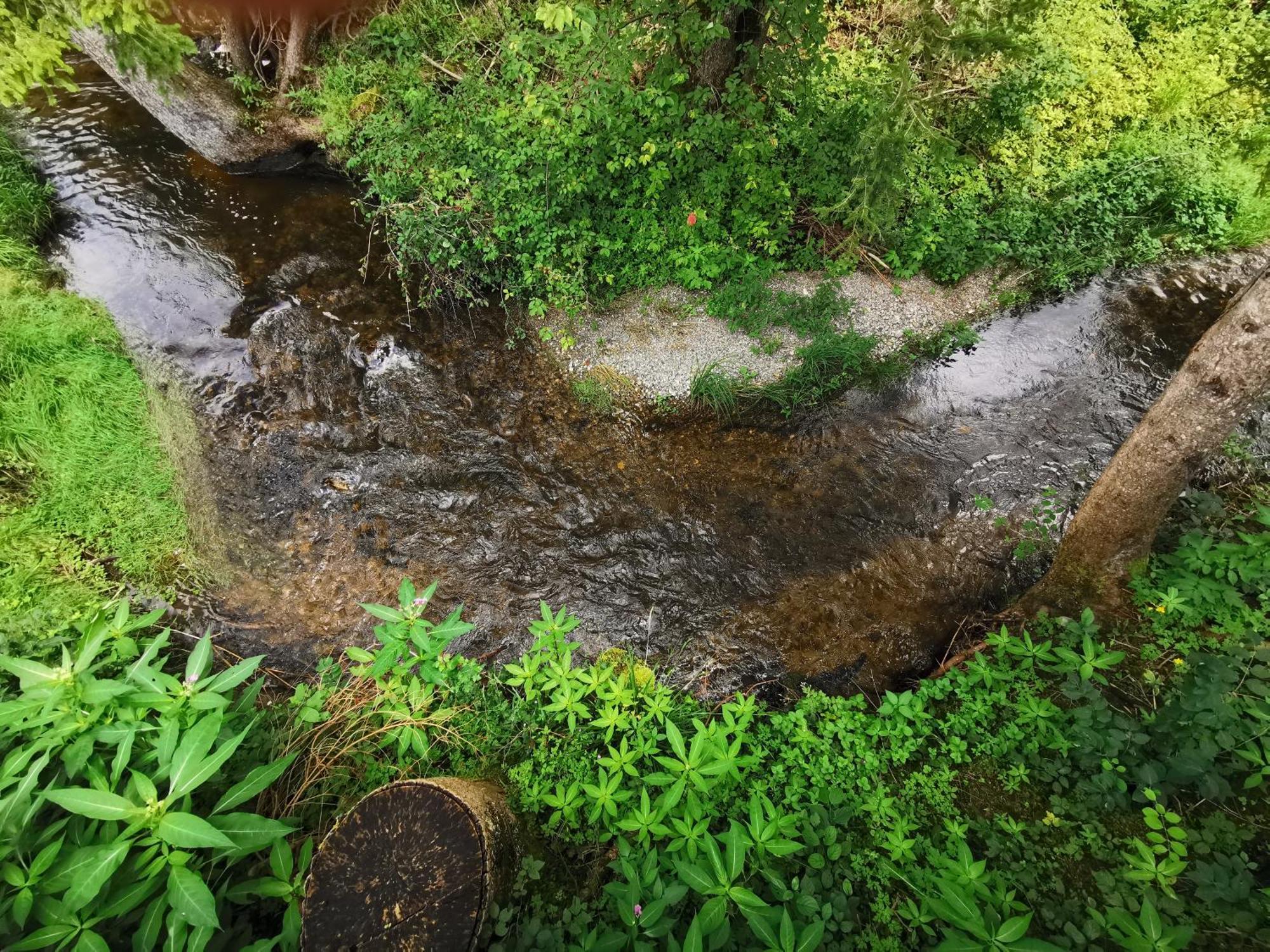 Wald Ist Zukunft Hotel Bernbeuren Ngoại thất bức ảnh