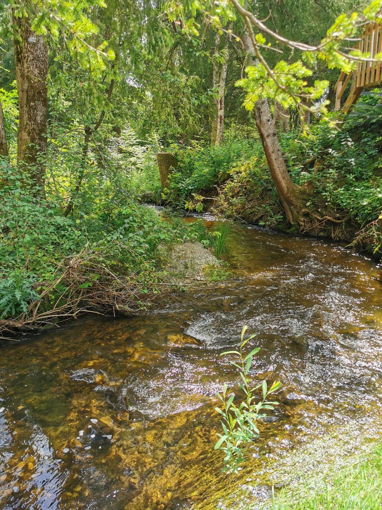 Wald Ist Zukunft Hotel Bernbeuren Ngoại thất bức ảnh