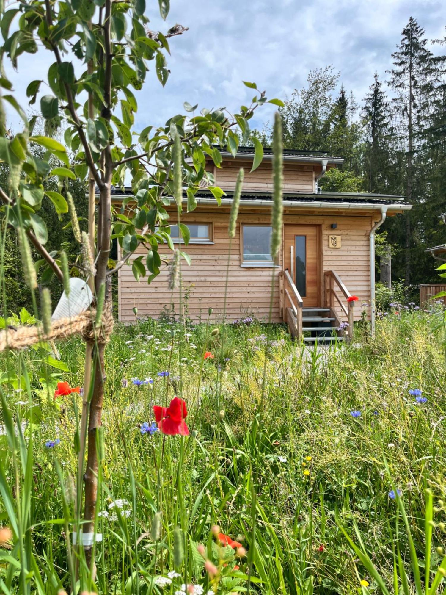 Wald Ist Zukunft Hotel Bernbeuren Ngoại thất bức ảnh